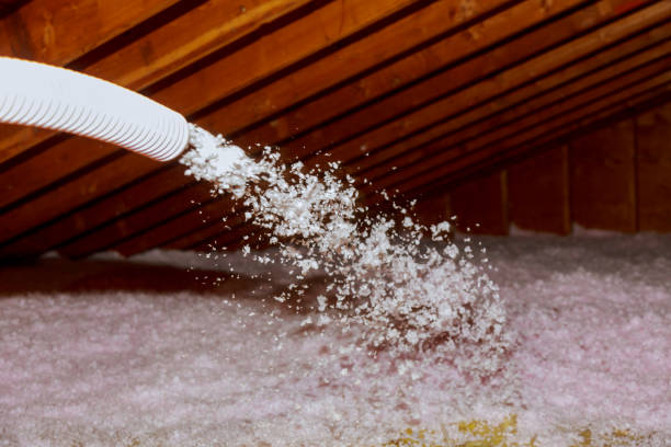 Best Spray Foam Insulation in The Crossings, FL