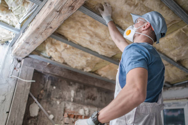 Best Spray Foam Insulation in The Crossings, FL