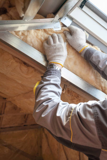 Best Insulation for Specific Applications in The Crossings, FL