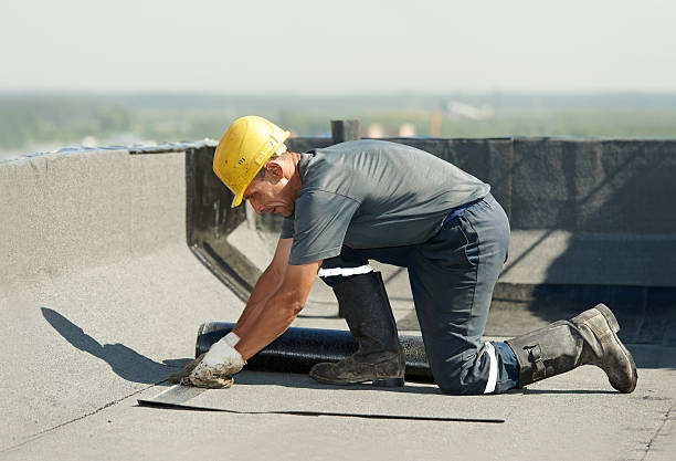 Best Cellulose Insulation in The Crossings, FL