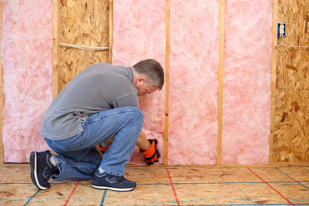 Best Insulation Maintenance and Repair in The Crossings, FL