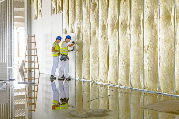 Best Residential Insulation in The Crossings, FL